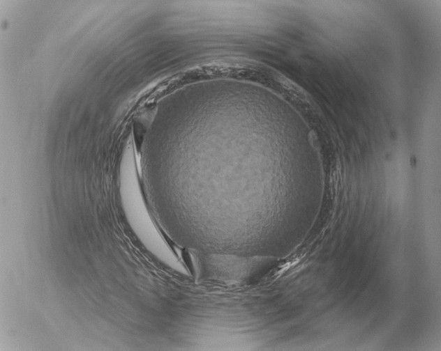 X0000052590822200507221606