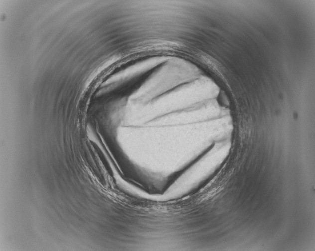 X0000052590827200507221606