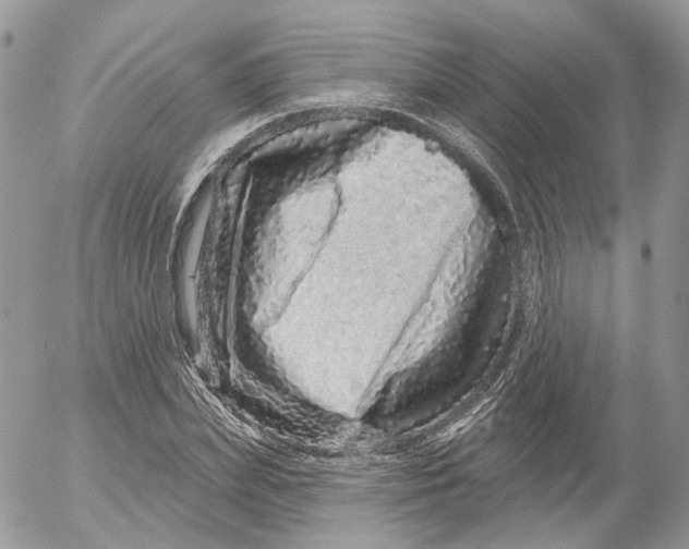 X0000052590831200507221606