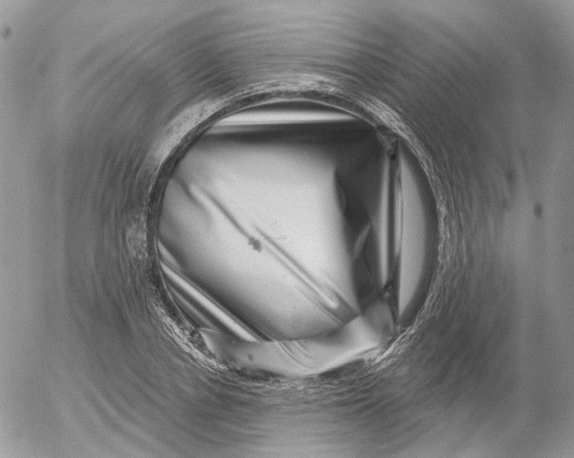 X0000052590834200507221606