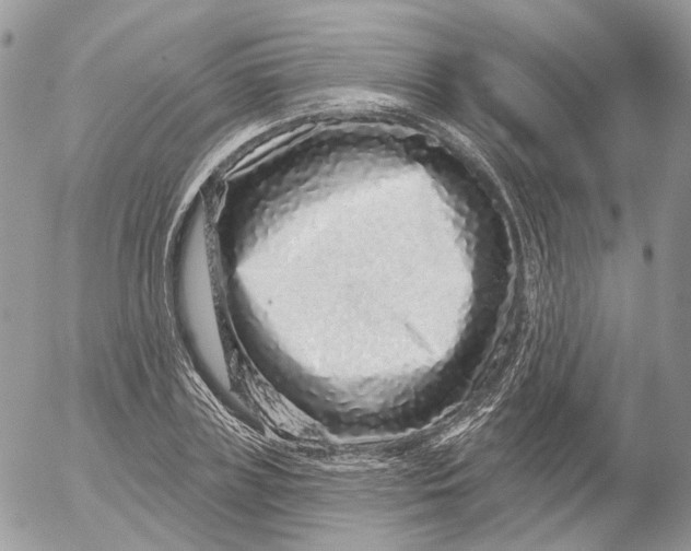 X0000052590835200507221606