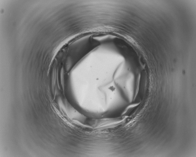 X0000052590838200507221606