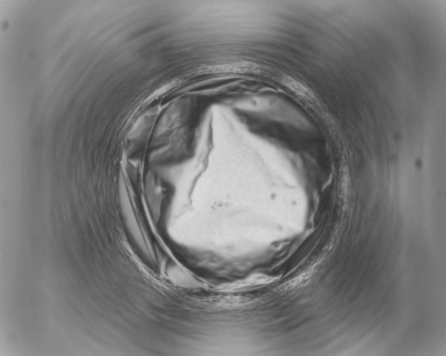 X0000052590841200507221606