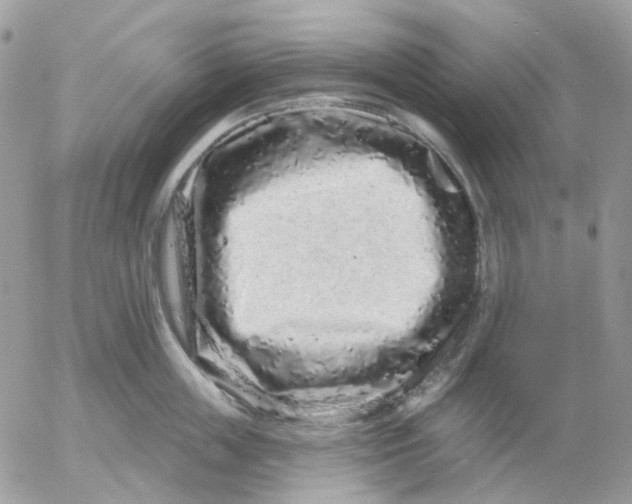 X0000052590859200507221607