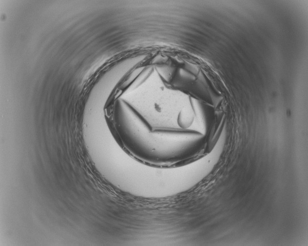 X0000052590871200507221606