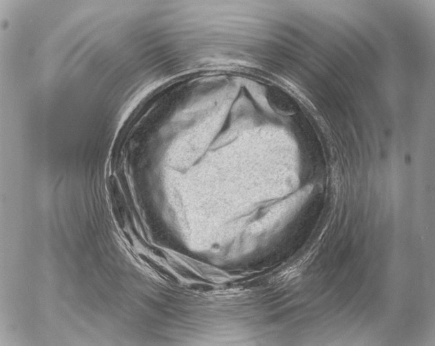 X0000052590891200507221606