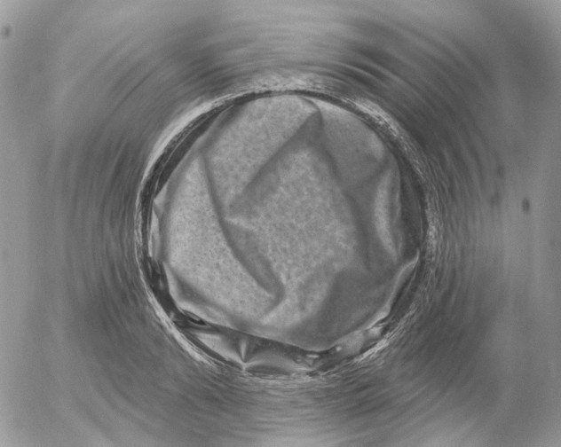 X0000052590894200507221606