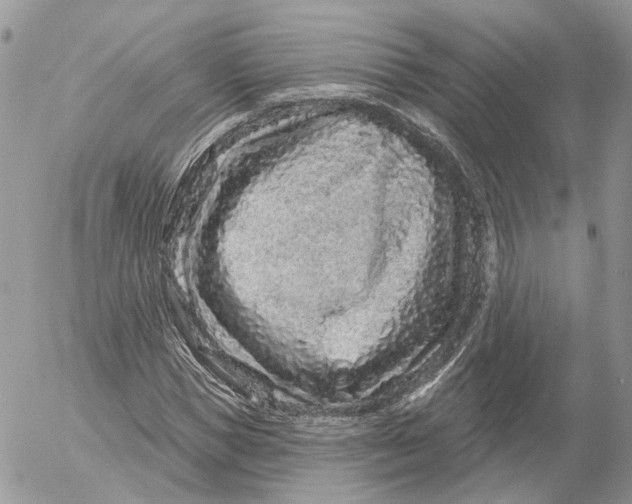 X0000052590921200507221605