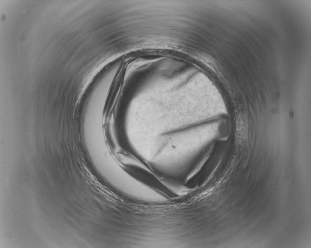 X0000052590926200507221605