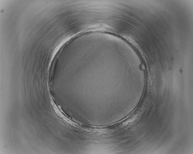 X0000052590941200507221605