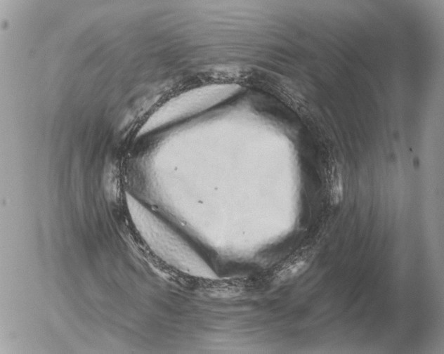 X0000052590962200507221604
