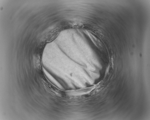X0000052590963200507221604