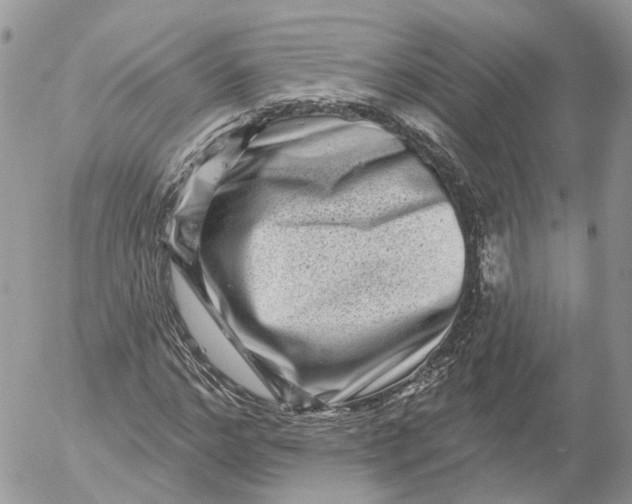 X0000052590968200507221604