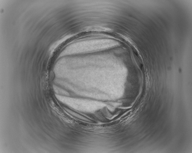 X0000052590971200507221604