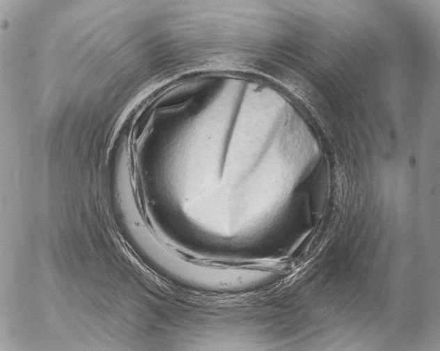 X0000052590982200507221604