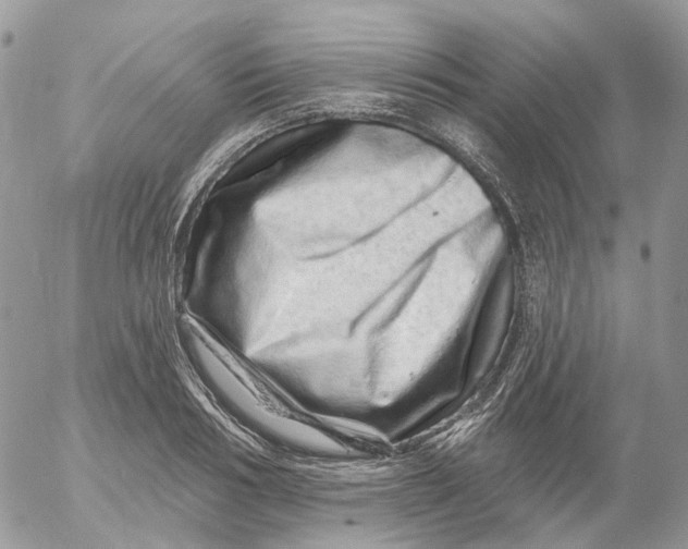 X0000052590986200507221604