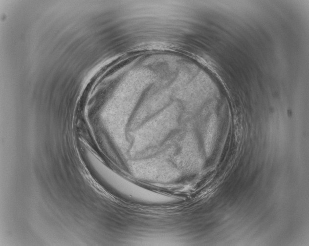 X0000052590987200507221604