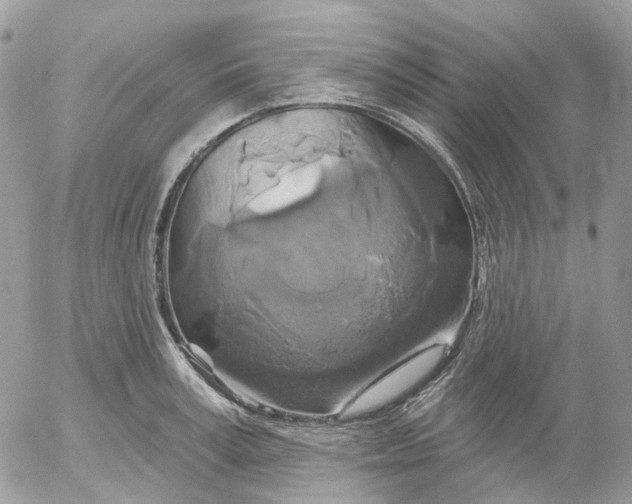 X0000052590995200507221604