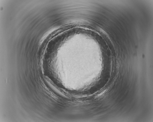 X0000052591019200507221603
