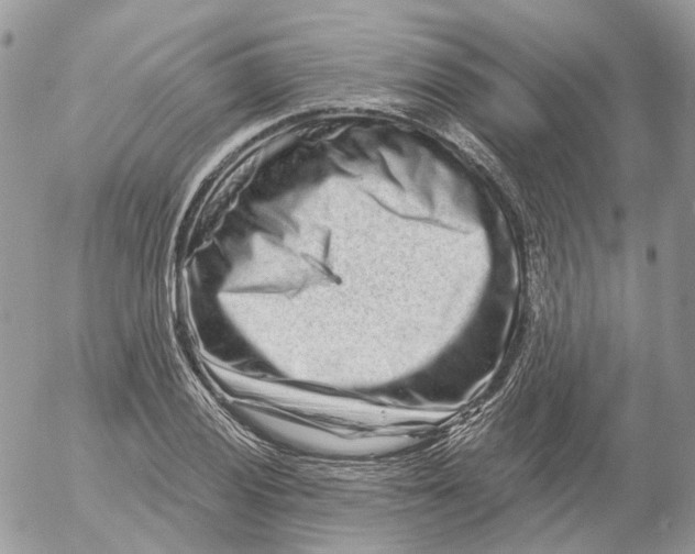 X0000052591028200507221603