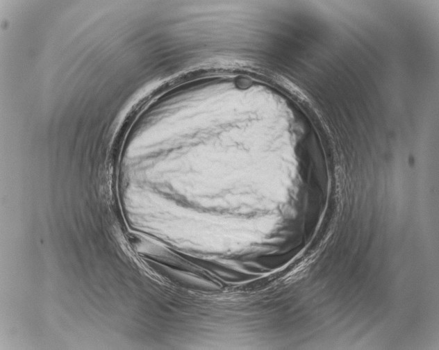 X0000052591029200507221603