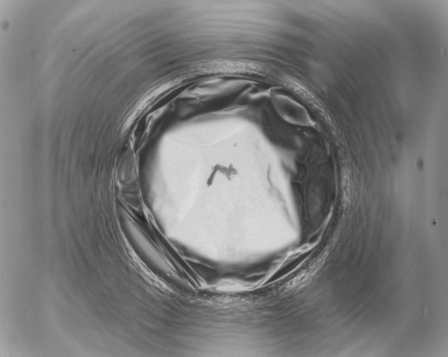 X0000052591033200507221603