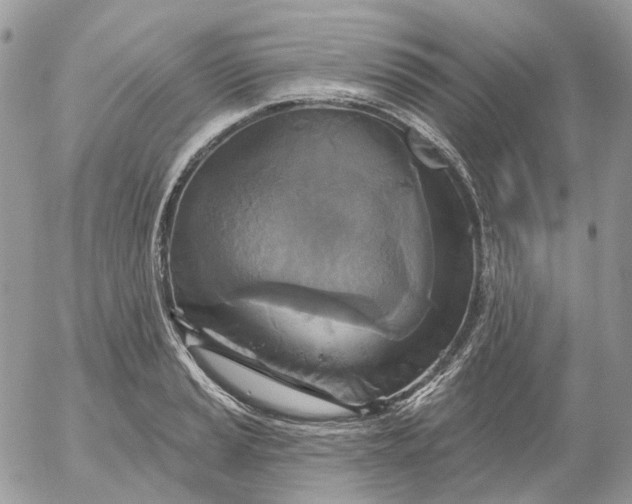 X0000052591037200507221603