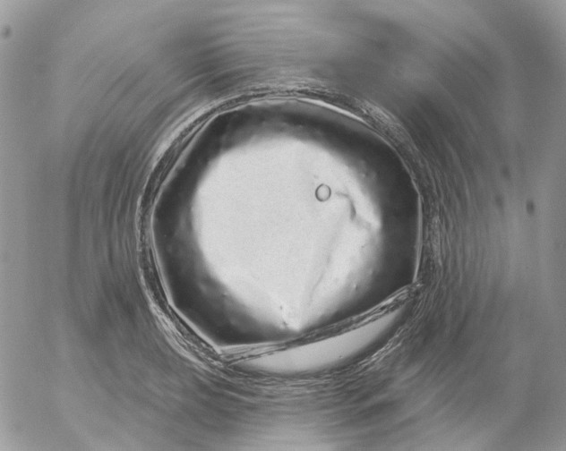 X0000052591039200507221603