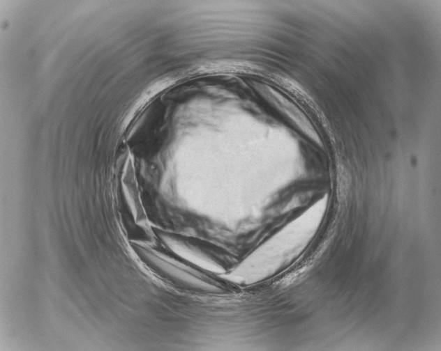 X0000052591041200507221603