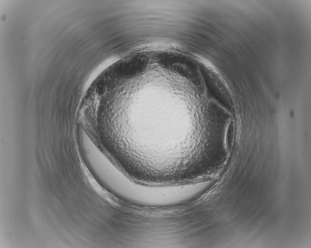 X0000052591042200507221603