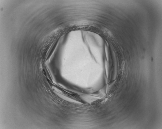 X0000052591062200507221603