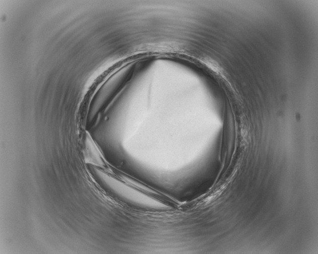 X0000052591070200507221603