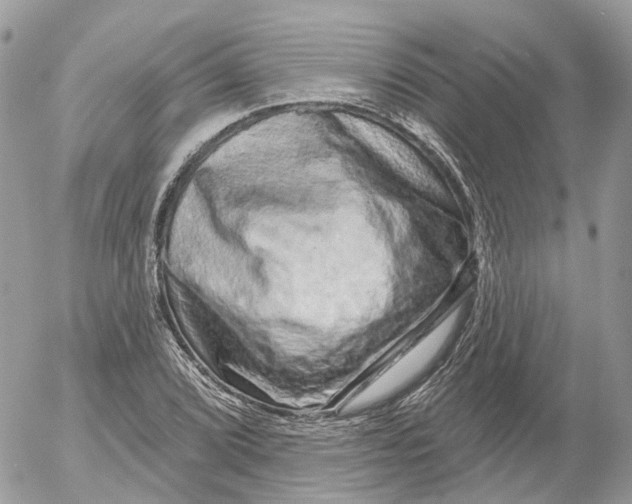 X0000052591072200507221603