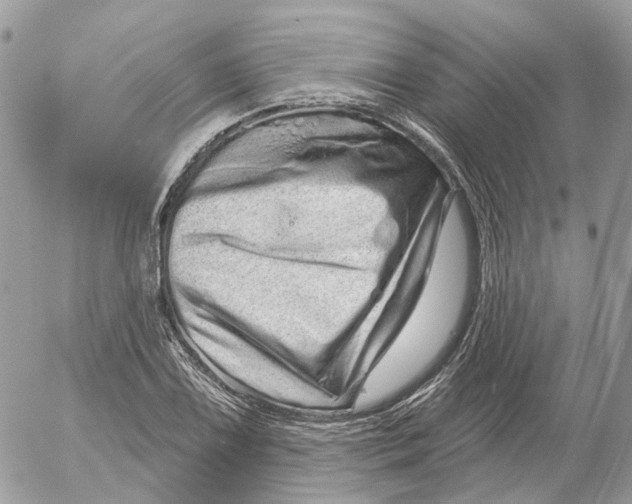 X0000052591075200507221603