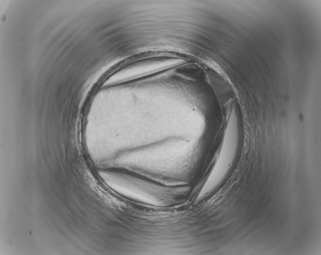 X0000052591076200507221603