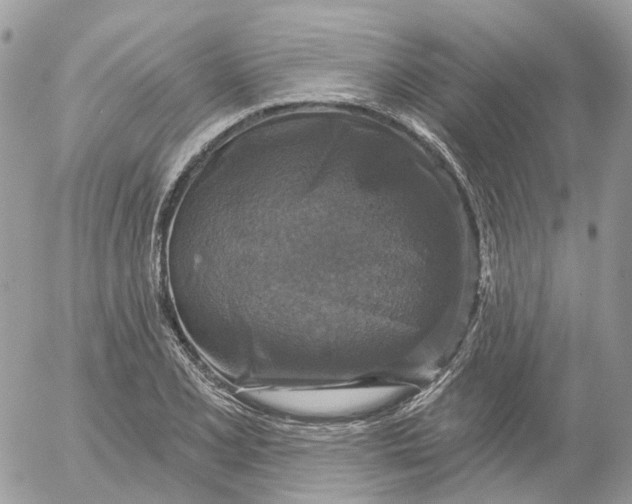 X0000052591077200507221603
