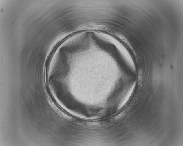 X0000052591080200507221602
