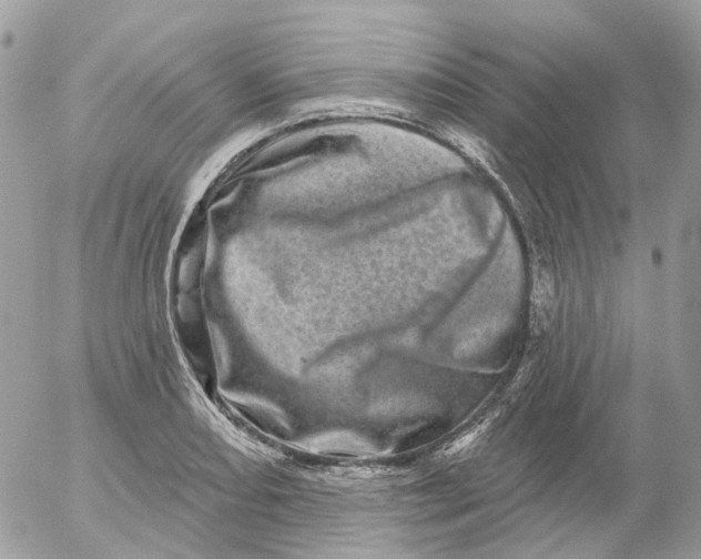 X0000052591082200507221602