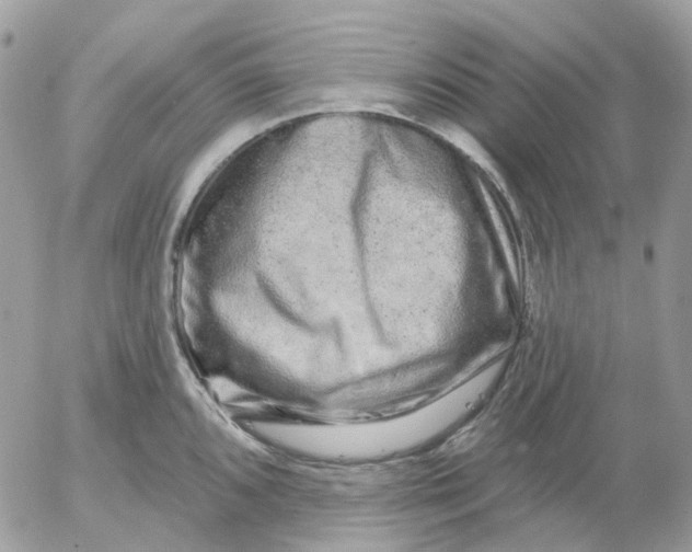 X0000052591096200507221602