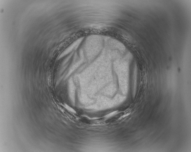X0000052591109200507221601