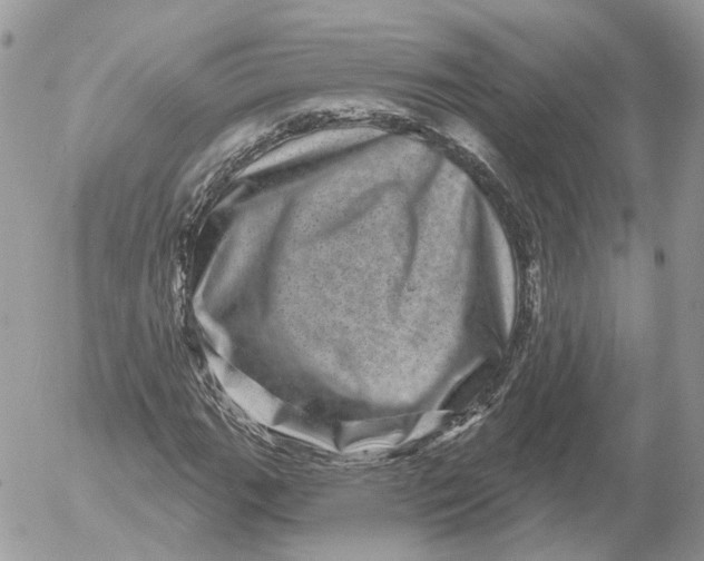 X0000052591111200507221601