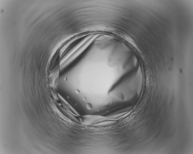X0000052591116200507221601