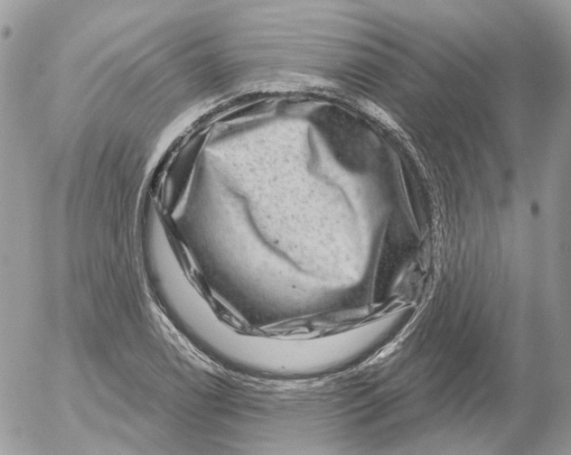 X0000052591122200507221602