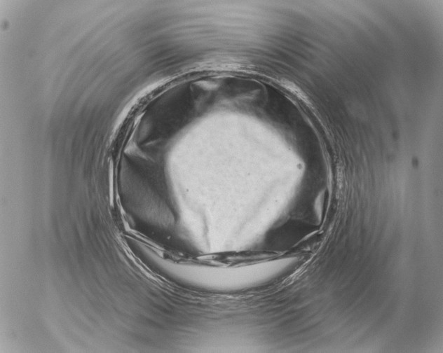 X0000052591123200507221602