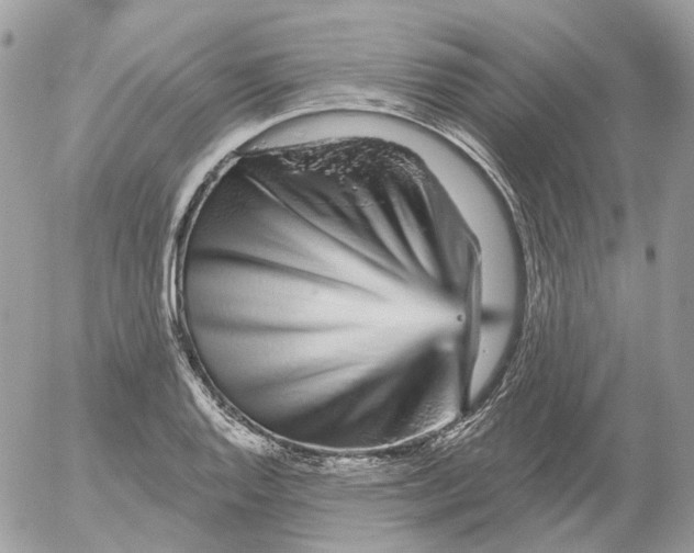 X0000052591128200507221602