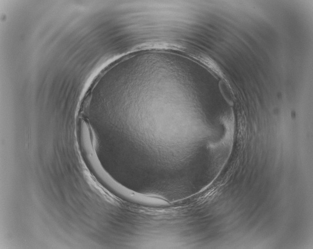 X0000052591132200507221602