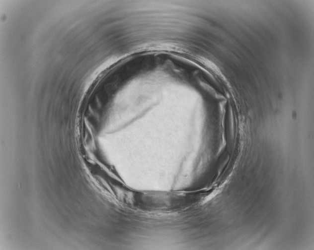 X0000052591133200507221602