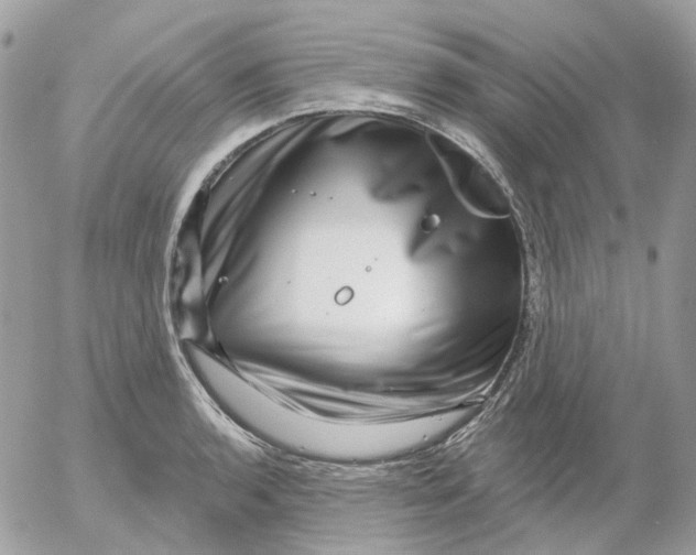 X0000052591136200507221602