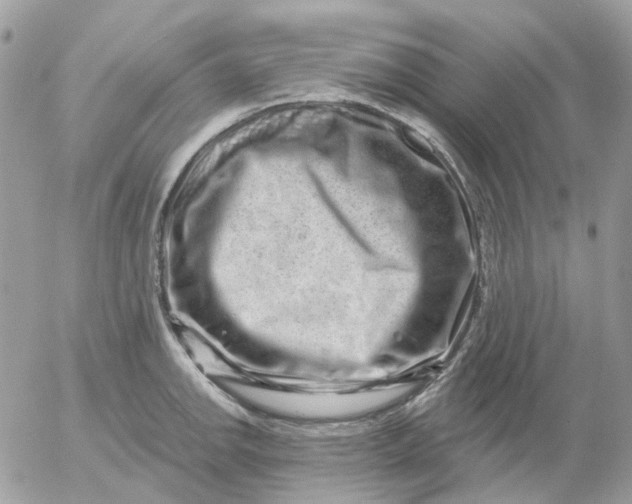 X0000052591142200507221602