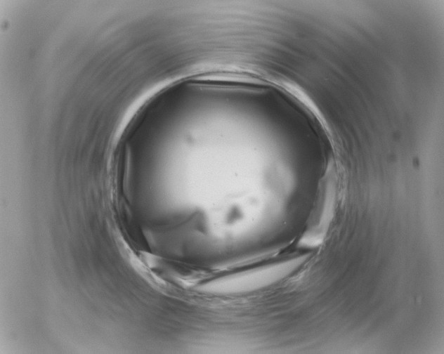 X0000052591148200507221602
